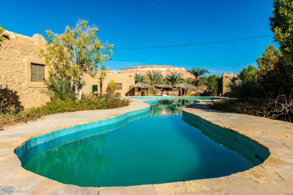 A peaceful view of Siwa Shali Resort surrounded by palm trees and traditional architecture in the desert.