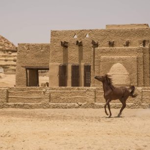 Lush palm trees and desert mountains in the background, representing the natural beauty of Siwa Oasis.