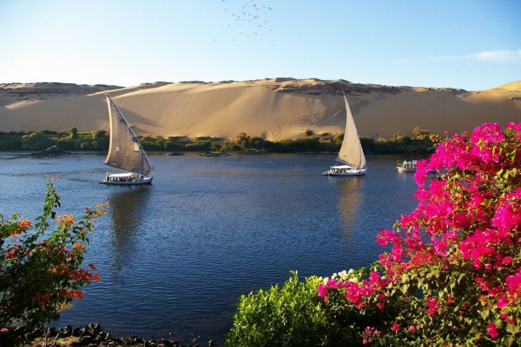 Discover the Beauty of Aswan