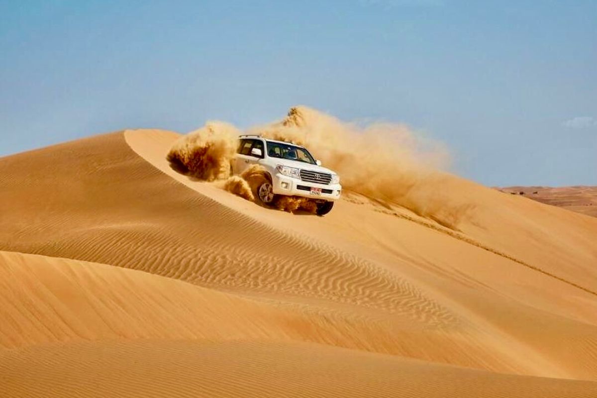 Safari & Adventure