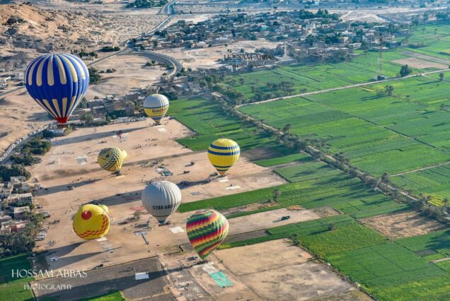 Multiple colorful hot air balloons floating over green farmlands and desert landscapes in Luxor, Egypt