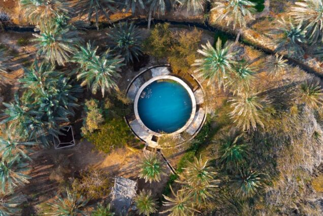 Aerial view of a circular spring surrounded by dense palm trees in the Siwa Oasis desert