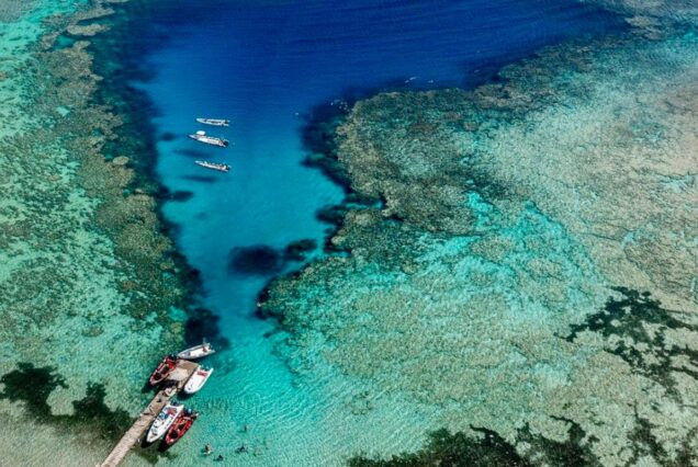 Aerial view of coral reefs and boats anchored in the clear turquoise waters of the Red Sea