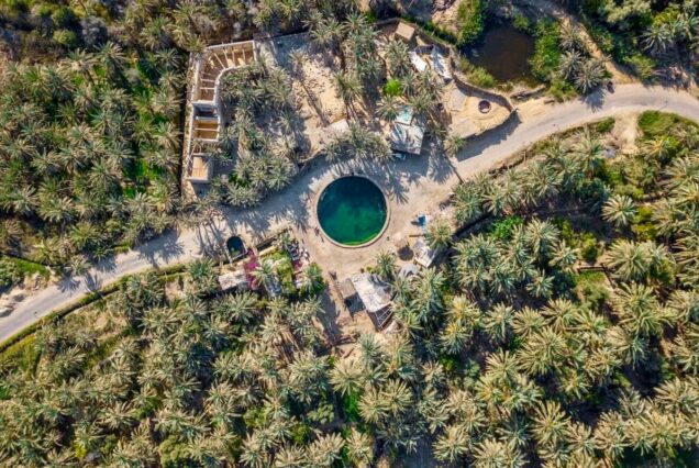 Aerial view of a palm oasis with a circular water pool in Siwa, Egypt