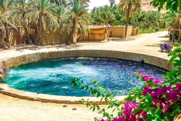 A salt pool in the desert with a vivid pink sky overhead, creating a surreal and dreamlike atmosphere