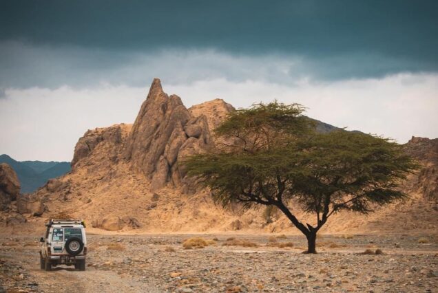 Desert Stargazing and Adventure