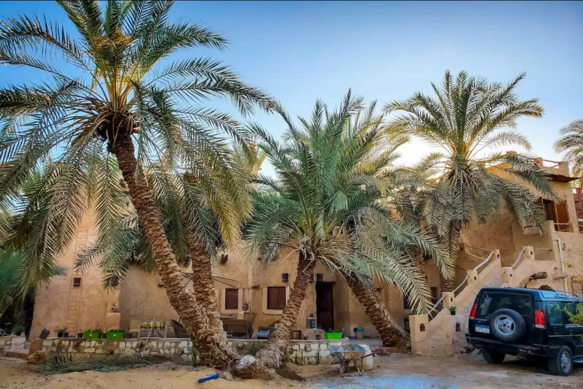 Traditional desert house with palm trees in the courtyard