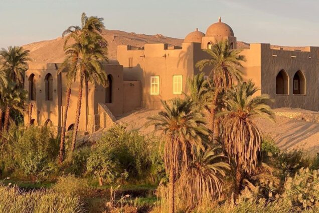Traditional clay house surrounded by lush palm trees in an oasis setting