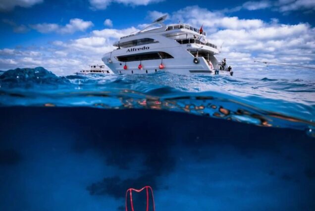 Luxury yacht named 'Alfredo' floating on the blue waters of the Red Sea under a bright sky