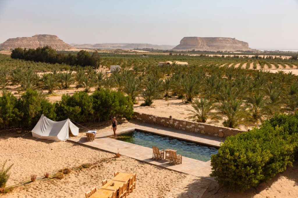 Desert poolside surrounded by palm trees with distant hills