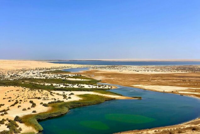 Panoramic view of lakes and greenery surrounded by desert in Egypt’s Wadi El Rayan