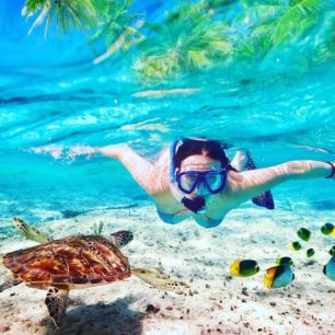 Snorkeler swimming underwater near a sea turtle and colorful fish