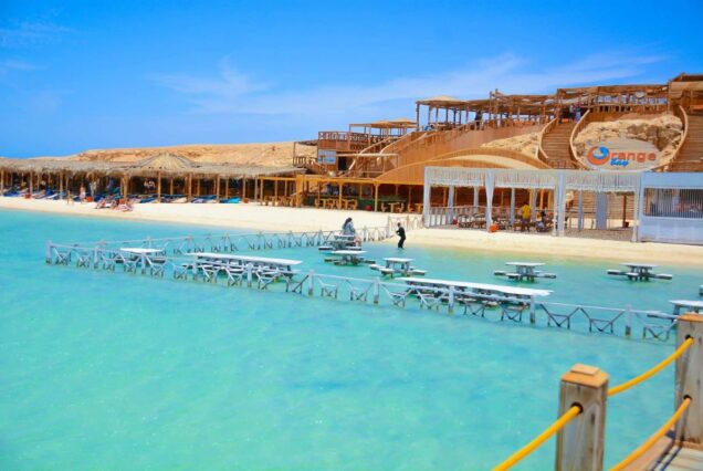 Elite VIP Dolphin Boat Trip Hurghada
