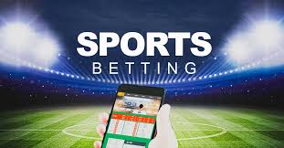 Casino Software with Auto-Play 10 Casino Software with Auto-Play 10